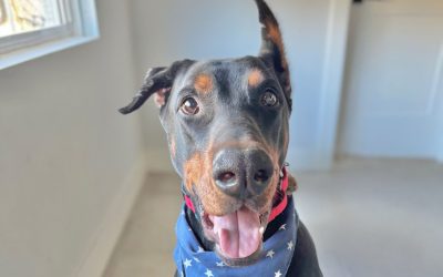 Samsun – Coming Soon!