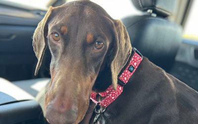 Rilee – Coming Soon!